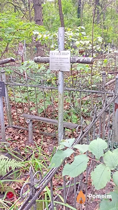 Гузеевы Владимир Дмитриевич