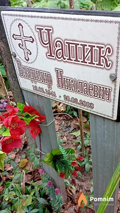 Чапик Владимир Николаевич