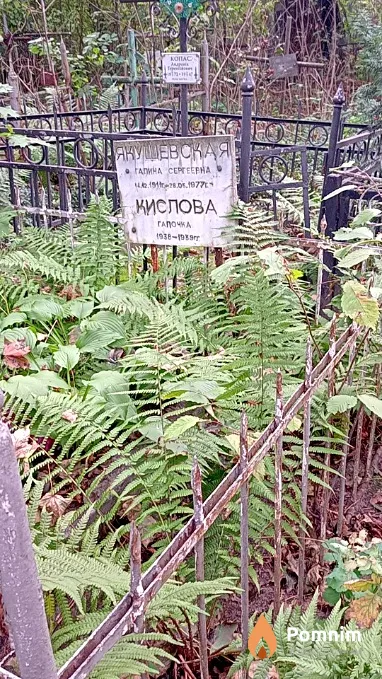 Якушевская Галина Сергеевна