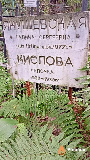 Кислова Галина