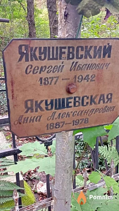 Якушевская Анна Александровна