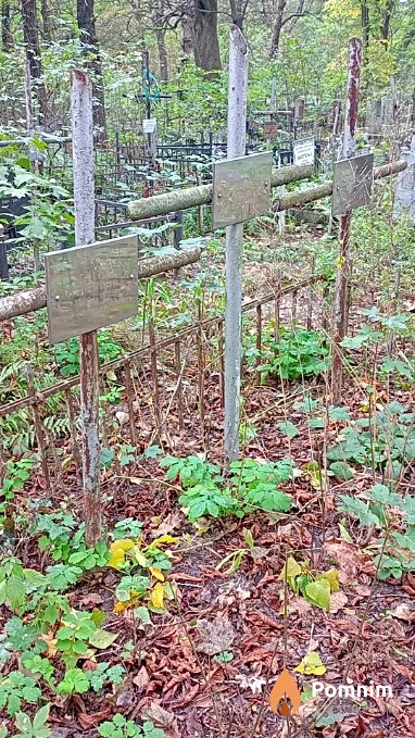 Гаркуша Елена Львовна