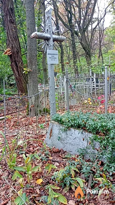 Демьяновская Анна Николаевна