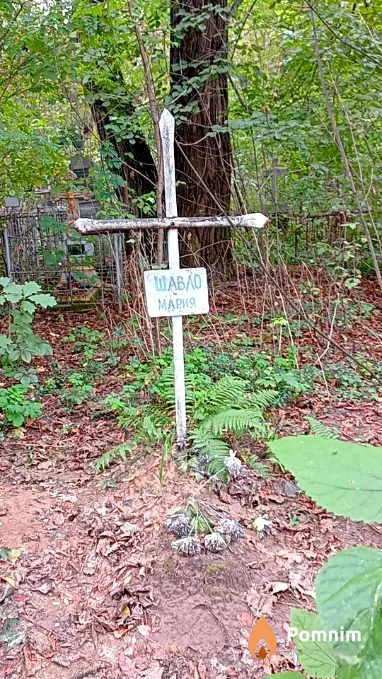 Шавло Мария