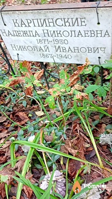Карпинский Николай Иванович