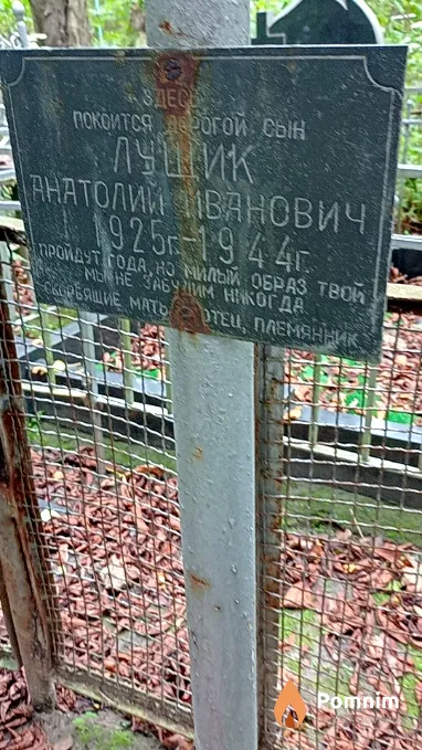 Лущик Анатолий Иванович