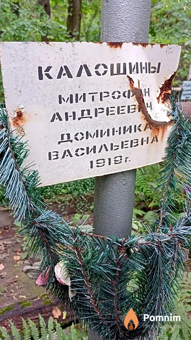 Калошина Доминика Васильевна
