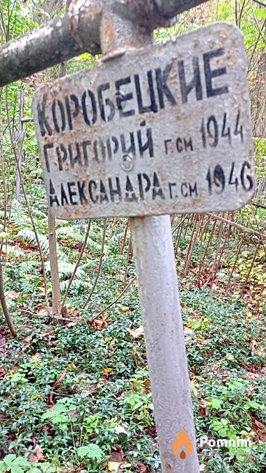 Коробецкая Александра