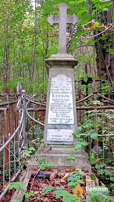 Король Галина