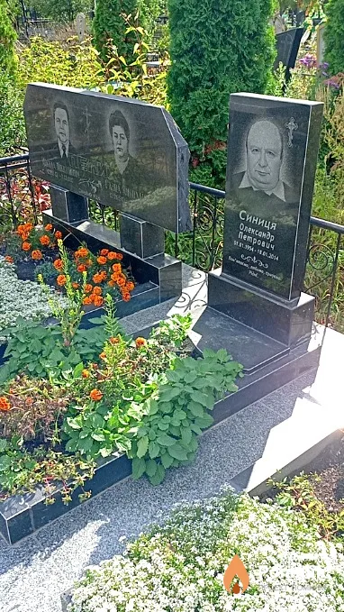 Синиця Олександр Петрович