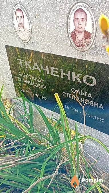 Ткаченко Александр Трофимович
