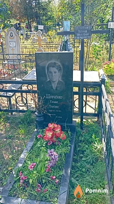 Шевченко Галина Ільківна