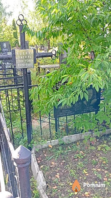 Яценко Василь Дмитрович