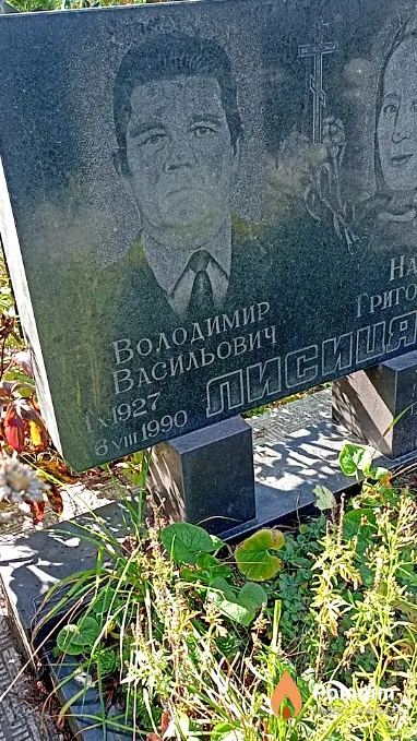 Лисиця Володимир Васильович