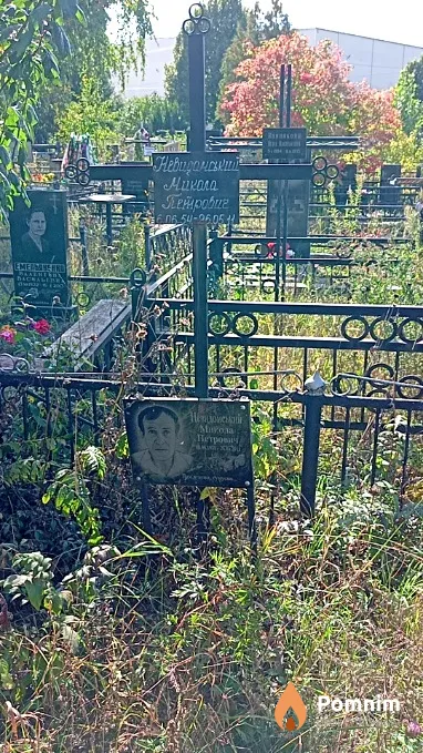 Невидомський Микола Петрович