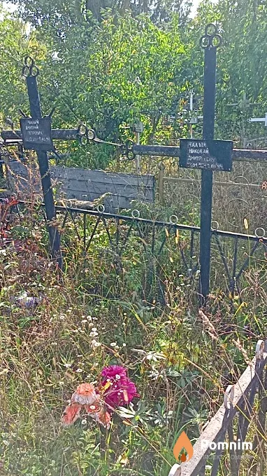 Чалый Николай Дмитрович