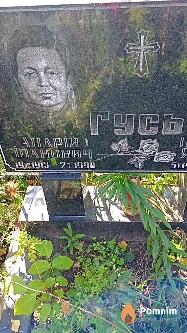Гусь Андрій Інанович