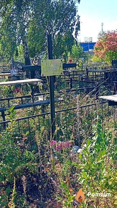 Турчин Мотря Дем'янівна