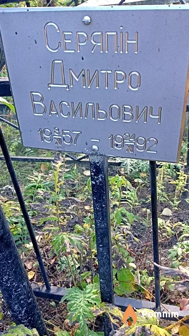 Серяпін Дмитро Васильович