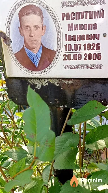 Распутний Микола Іванович