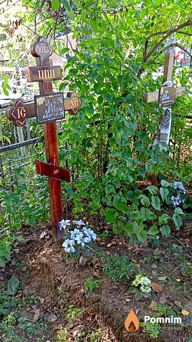 Шевченко Юлія Василівна