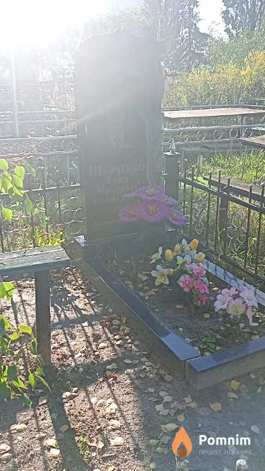 Шевченко Василь Михайлович