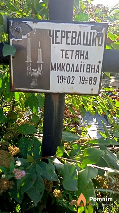 Черевашко Тетяна Миколаіївна