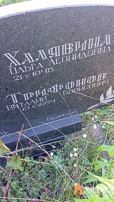 Трифонов Виталий Борисович