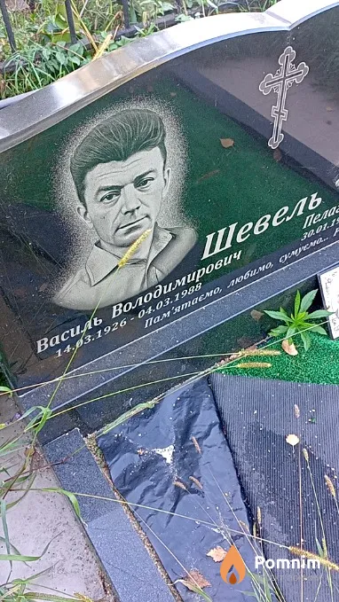 Шевель Василь Володимирович