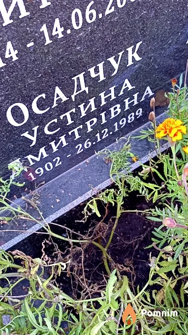Осадчук Устина Дмитрівна