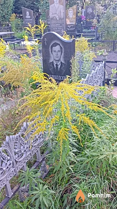 Великодский Анатолий Николаевич