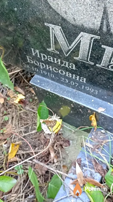 Мирвода Ираида Борисовна