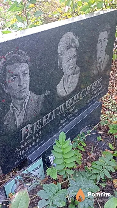 Венглинская Елена Викторовна