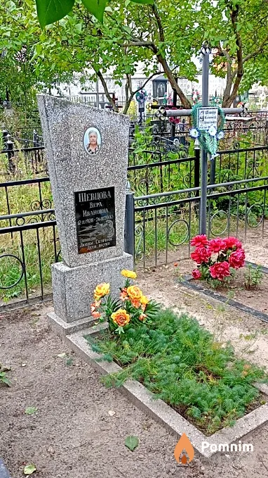 Шевцов Олександр Олексійович