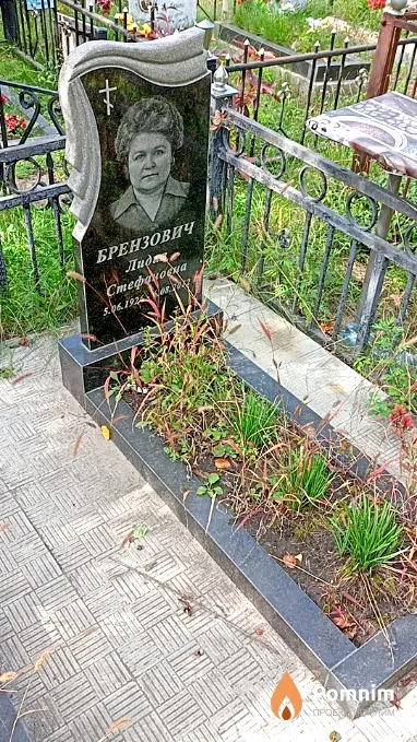 Брензович Лидия Стефановна