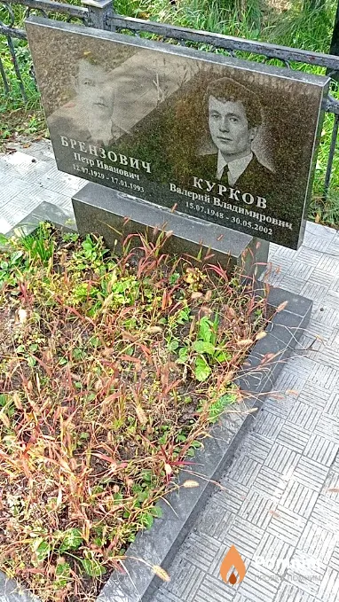 Курков Валерий Владимирович