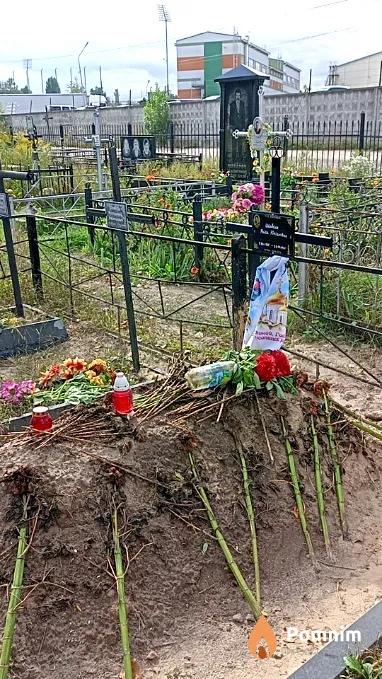 Шевель Pаїса Юліанівна