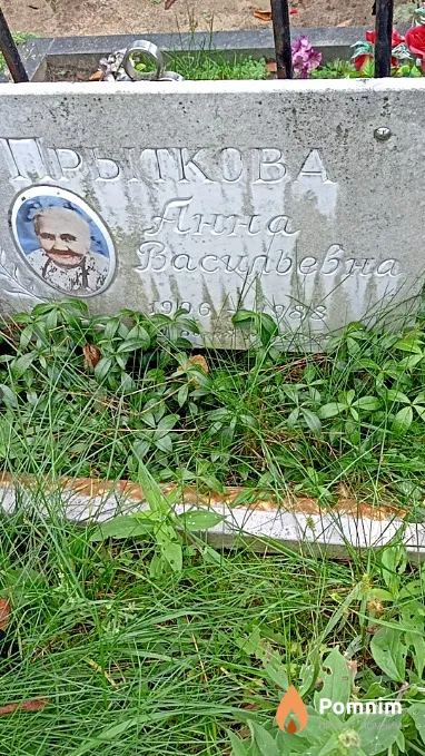 Прыткова Анна Васильевна