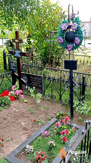 Наумович Раїса Павлівна