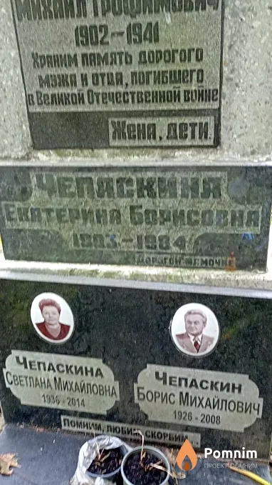 Чепаскина Екатерина Борисовна