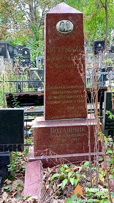 Поташник Илья Давидович