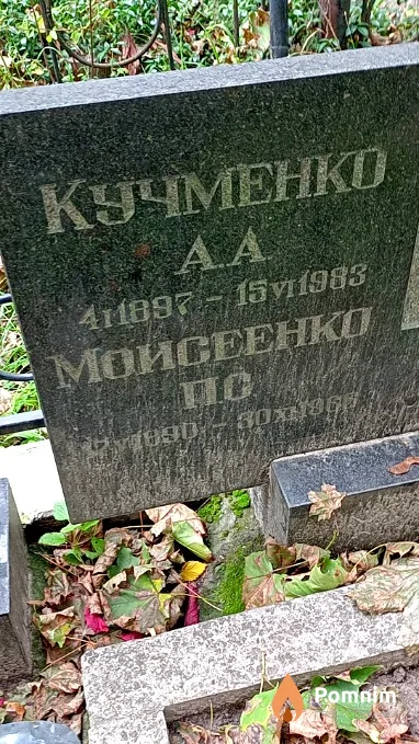 Кучменко А А