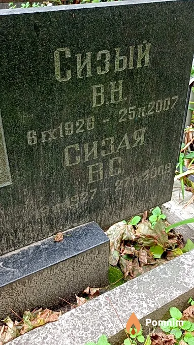 Сизый В Н