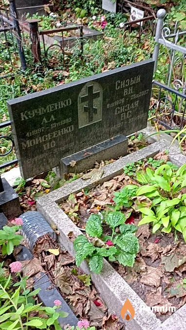 Сизая В С