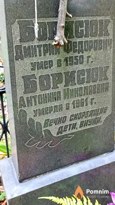 Бориснюк Дмитрий Федорович