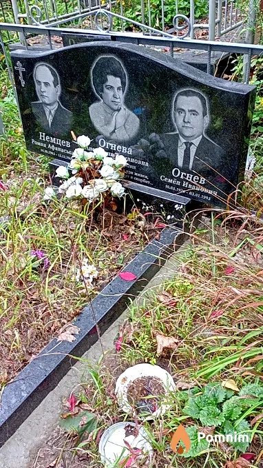 Огнева Анастасия Романовна