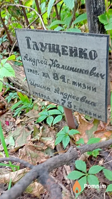 Глущенко Ирина Андреевна