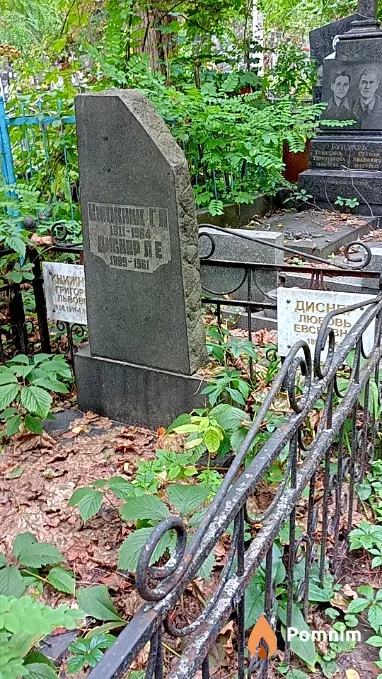 Диснер Любовь Евсеевна