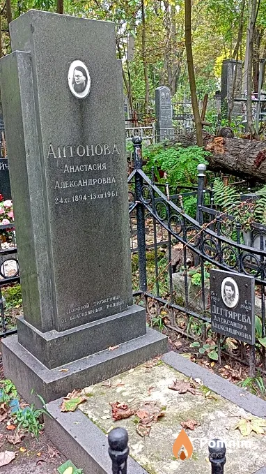 Антонова Анастасия Александровна