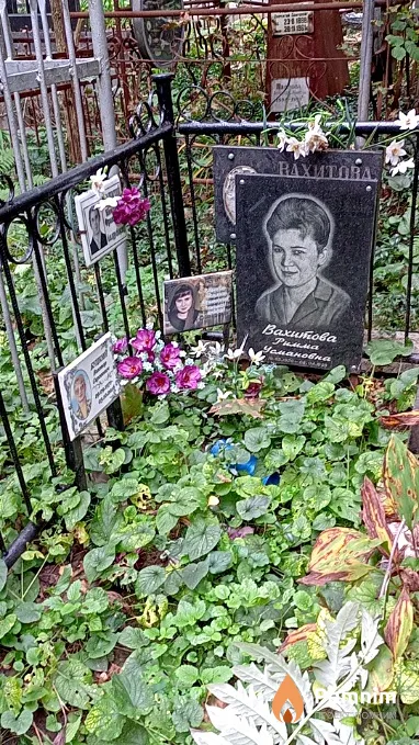Рогалевский Николай Францевич
